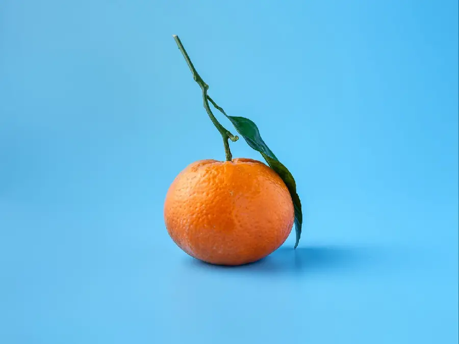 Beautiful and beautiful wallpaper of tangerines with a blue background