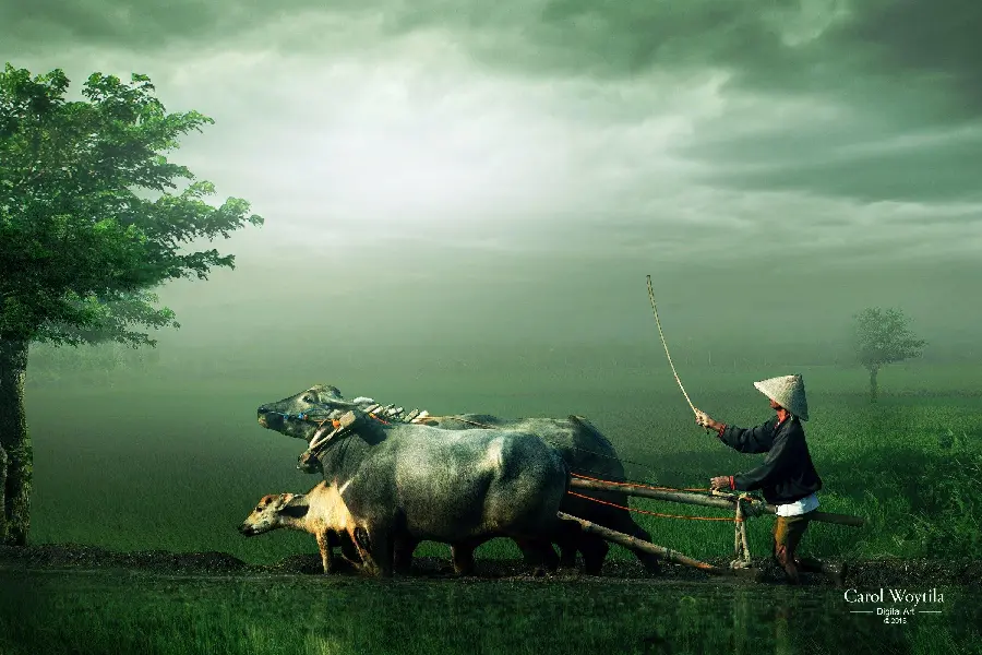 Fictional and imaginary photography of a lonely man plowing the land 