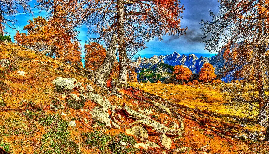 The most interesting photo of autumn nature with yellow and orange leaves 