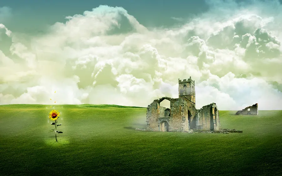 FULL HD Wallpaper