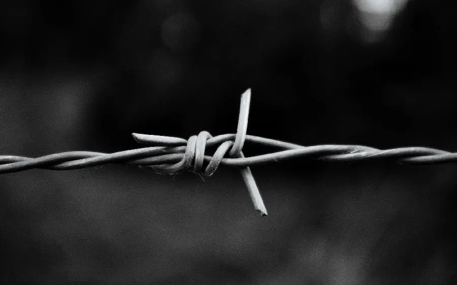 Background of close-up of barbed wire in black and white theme
