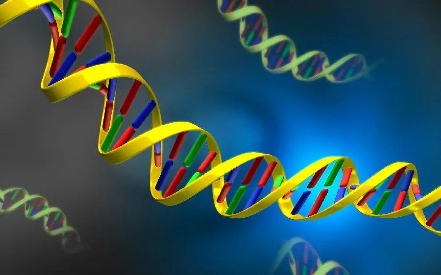 A fascinating and spectacular proposal background with a DNA ladder design