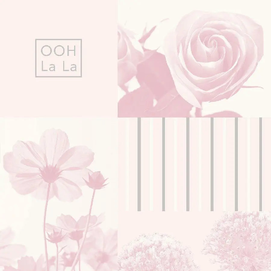 The most special pale pink flower collage image suitable for wallpaper and profile 