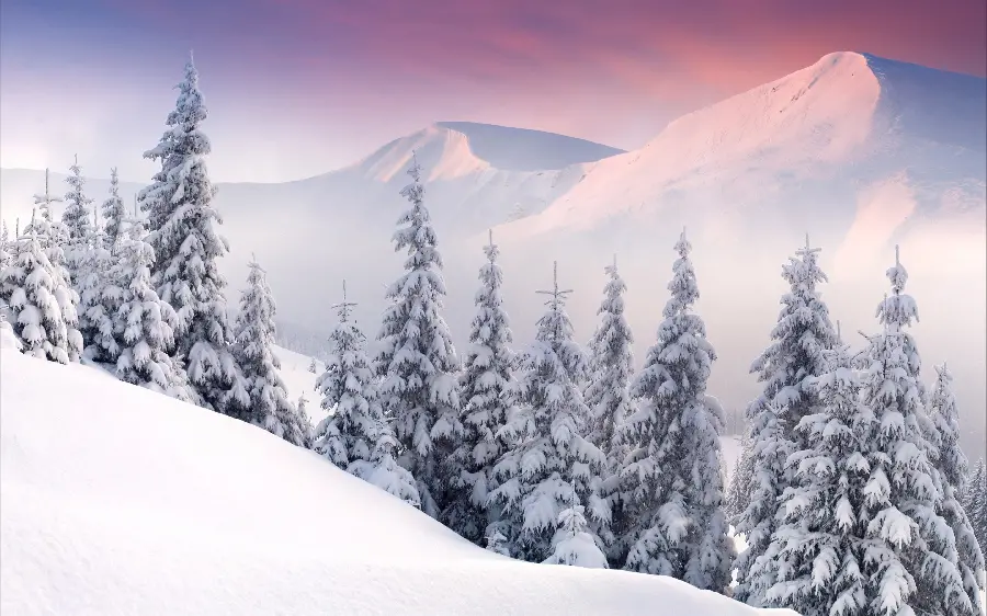 Winter profile photo of snow-covered mountain nature