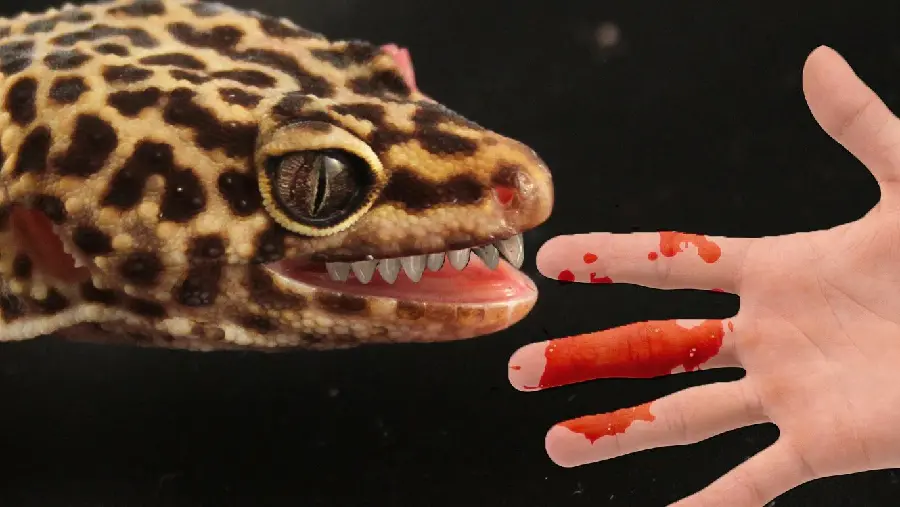 A terrifying, photoshopped photo of a wild leopard gecko