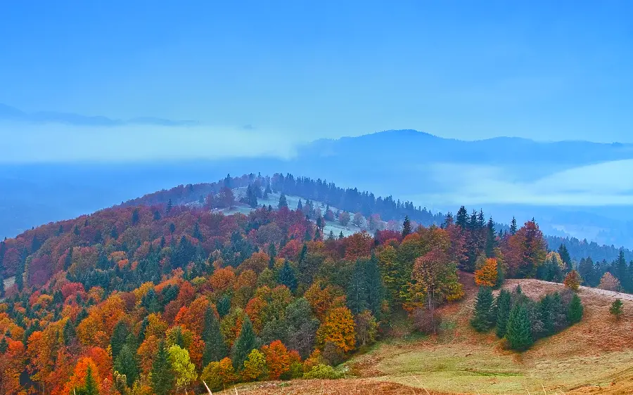 Simple photo without effects of mountain nature with autumn trees 