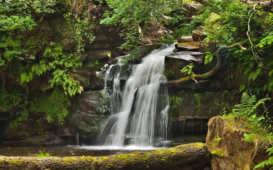 Interesting wallpaper of the pure and magical waterfall nature for free