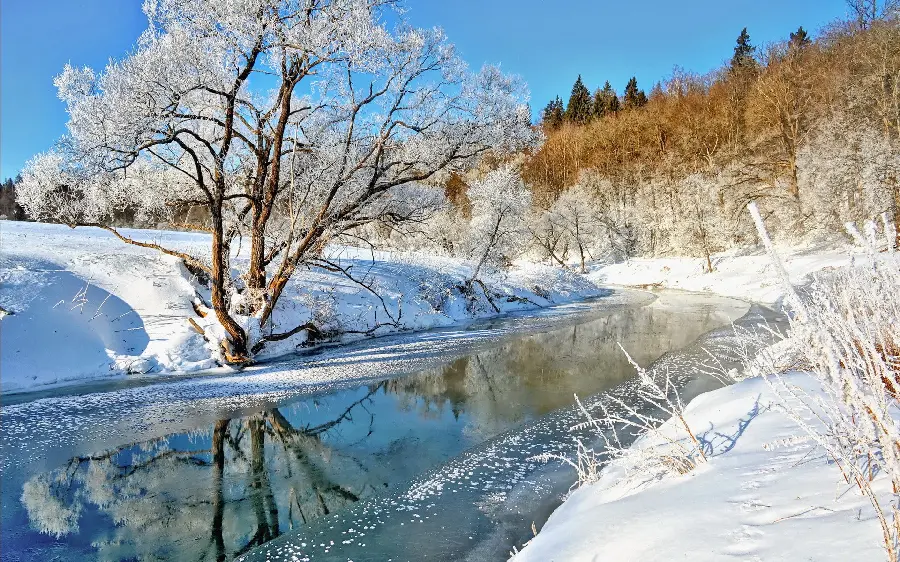 The best snowy nature design background for the winter season