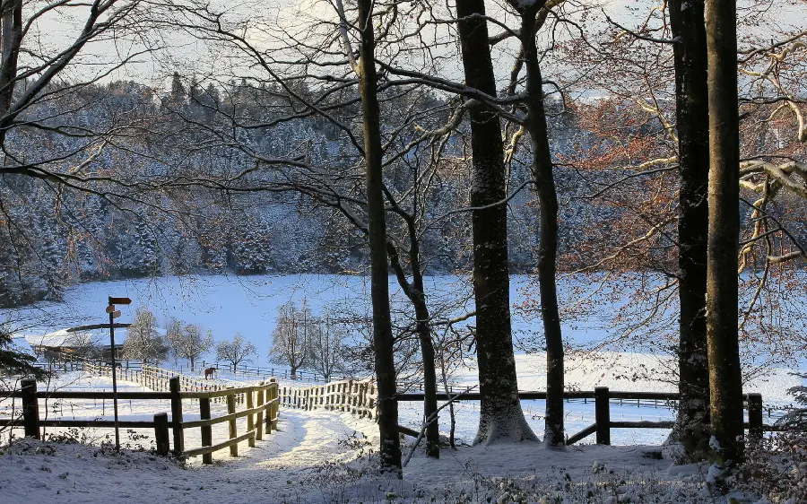 Beautiful winter wallpaper for computer background 