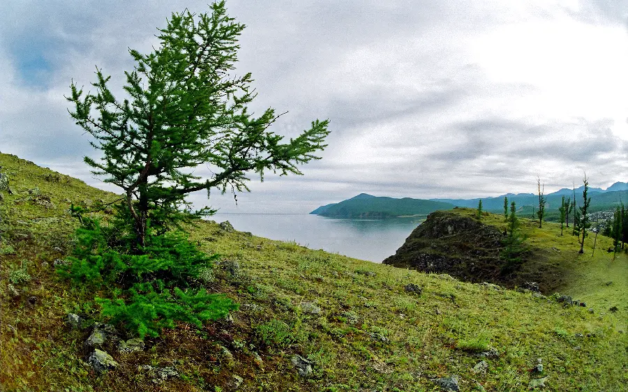 Download free and high-quality photos of nature, simple and without effects and Photoshop
