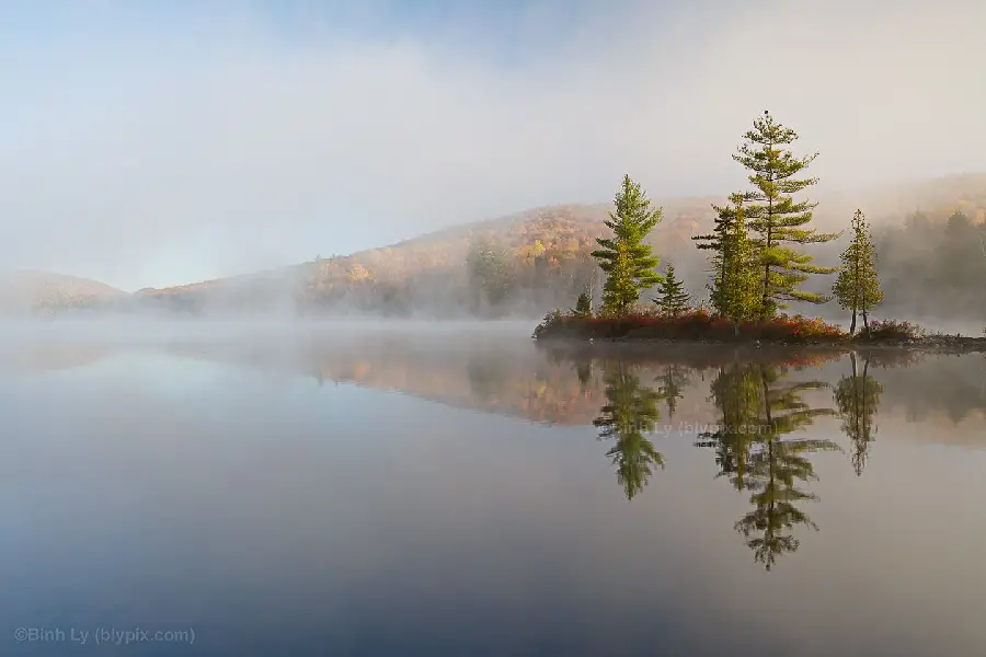 The most beautiful free autumn background for Android phones