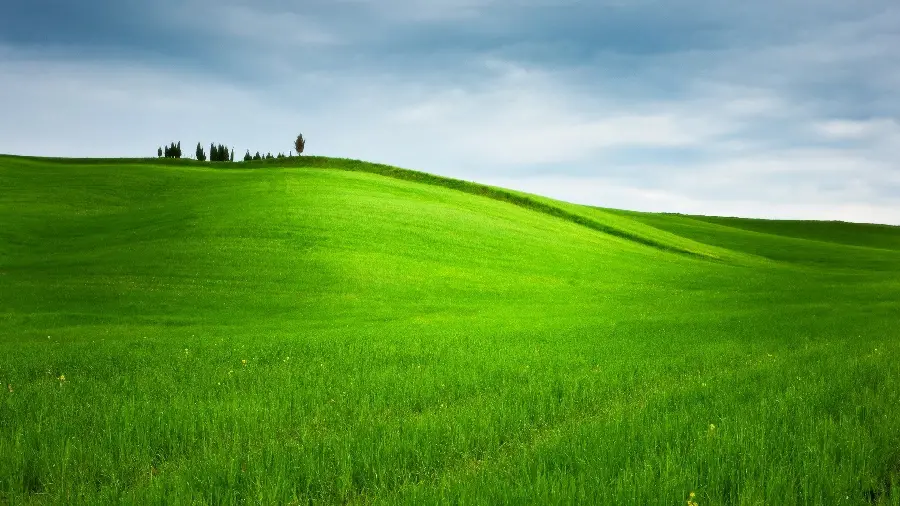 Soothing background of nature and a lush landscape of meadows
