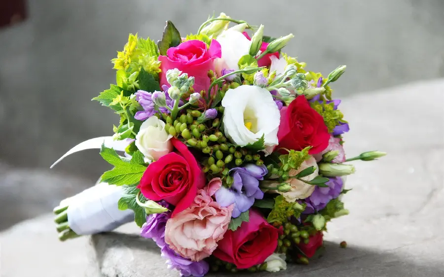 Beautiful and beautiful flower wallpaper and background photo with special colors 