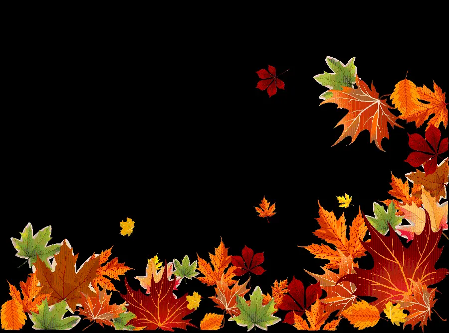 Stylish PNG image, black background, autumn leaf design