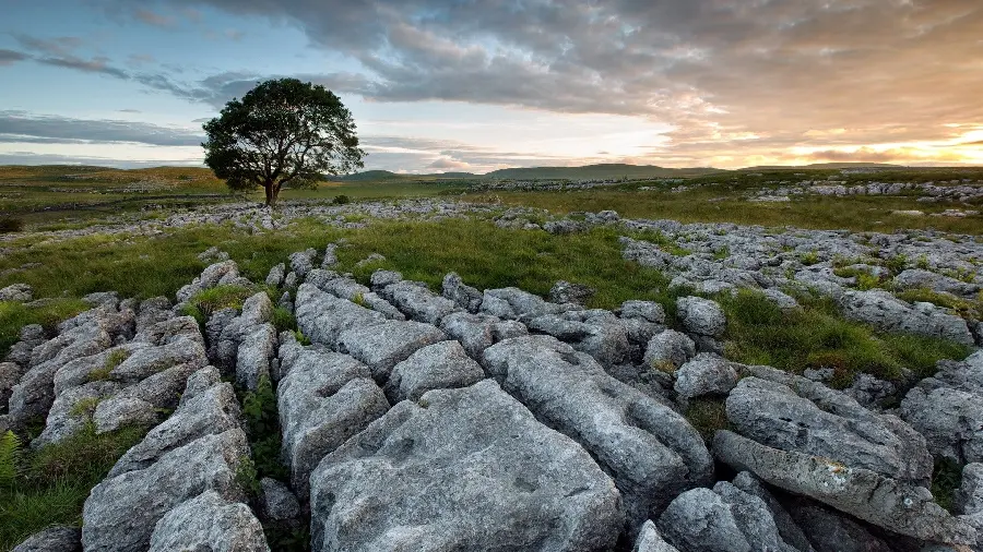 Download a beautiful and pleasant picture of natural stone