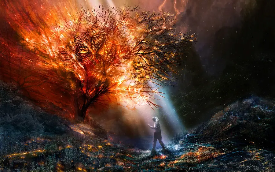 Fire Tree Fantasy Fantasy Wallpaper and Background 2024