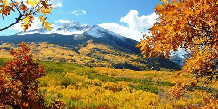 Free and high-quality autumn photos for phones and tablets 