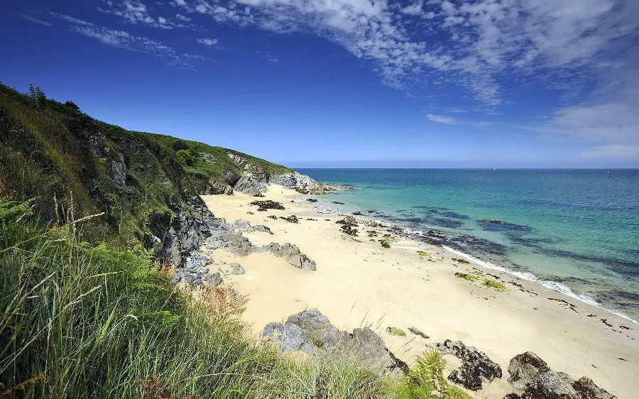 Very beautiful photo of beach grass for high-quality download 