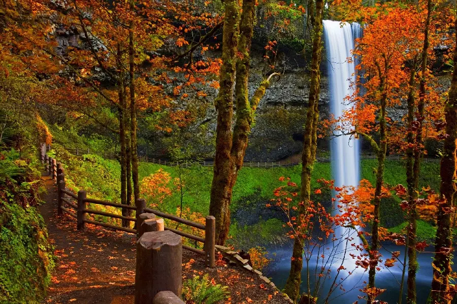 Full HD autumn forest and waterfall stock photo