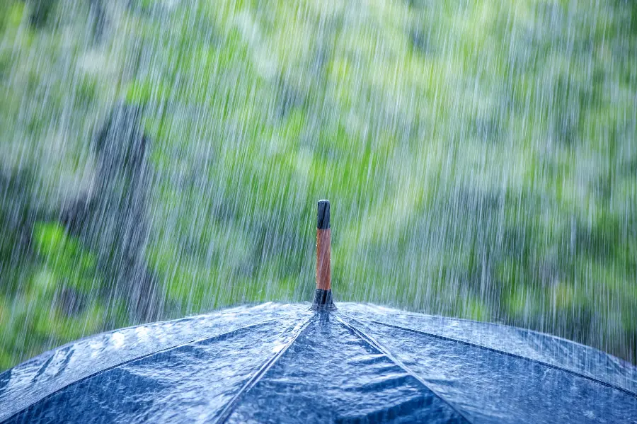 Picture of a simple blue umbrella under the rain with a background of green trees
