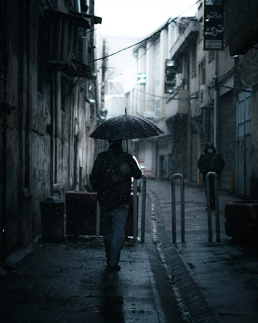 Download Profile Picture of Dumb and Dumber Umbrella in Rainy Weather 