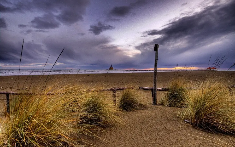Stock photo of beach grass for smart TV screen 
