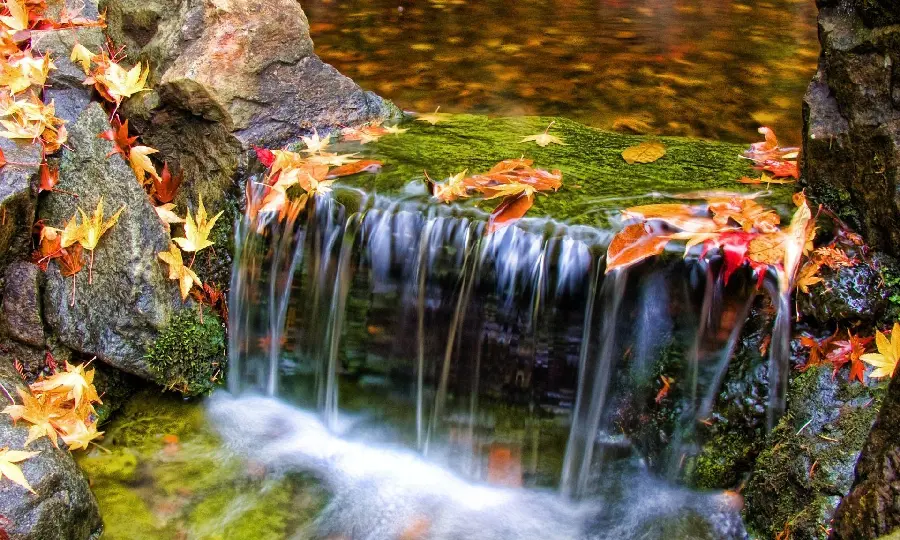 Background without effects of nature and autumn leaves