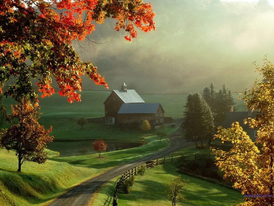 Pleasant and peaceful wallpaper of a wooden cabin in a lush forest in autumn