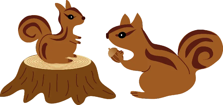 The most special cute and funny computer drawing of a squirrel PNG