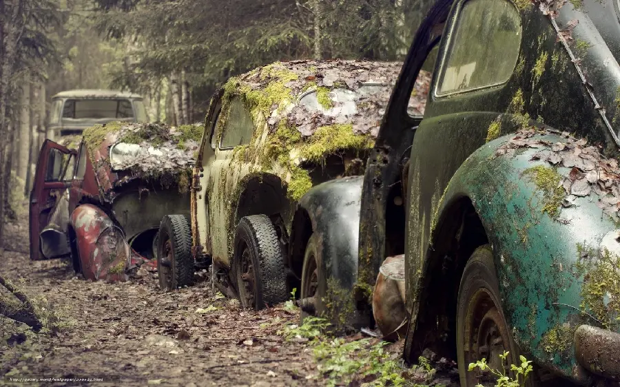 Wallpaper of old cars in a car cemetery