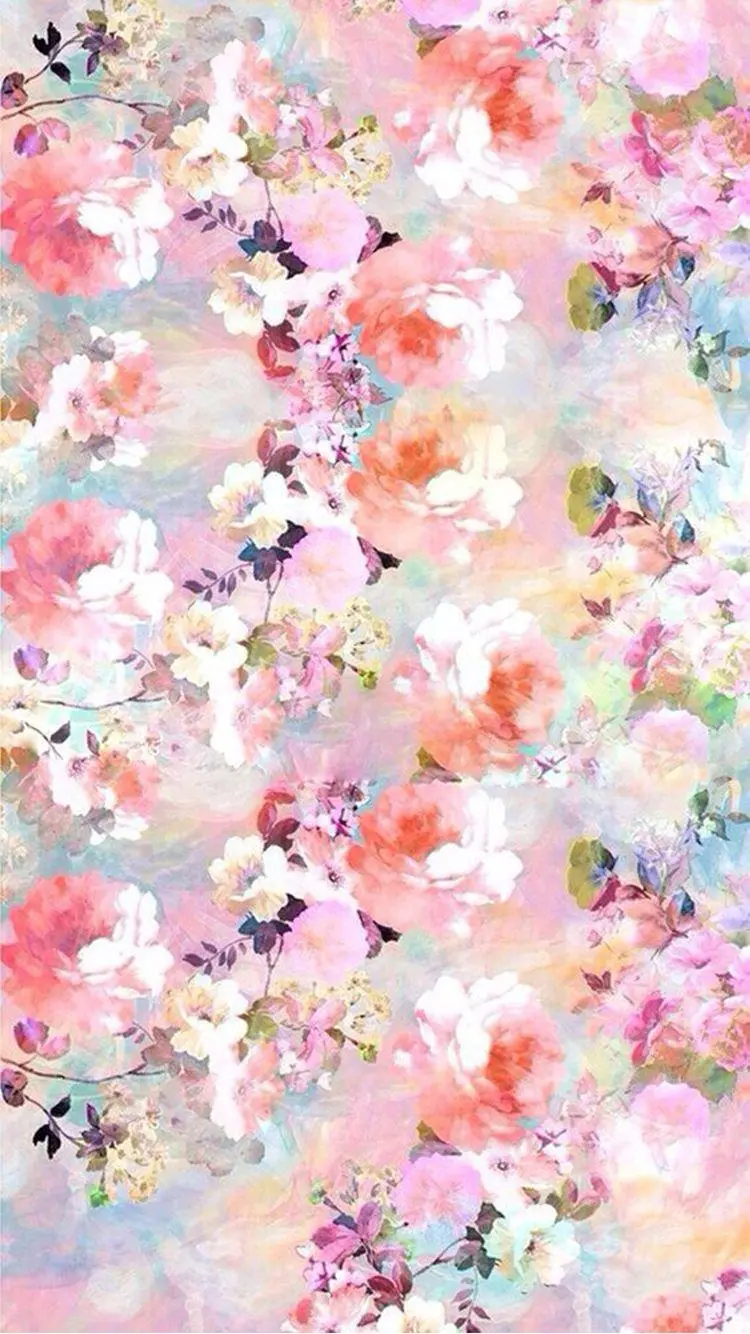 Download a beautiful and spectacular photo of colorful flowers 
