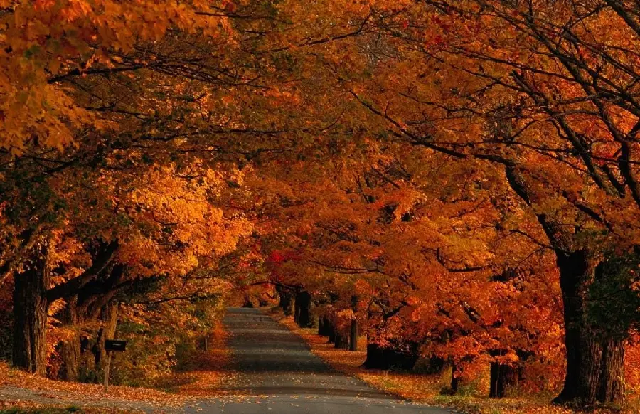 Incredible and incredibly beautiful autumn nature landscape 