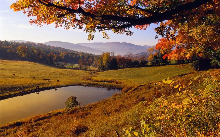 Interesting and spectacular wallpaper of beautiful autumn nature 