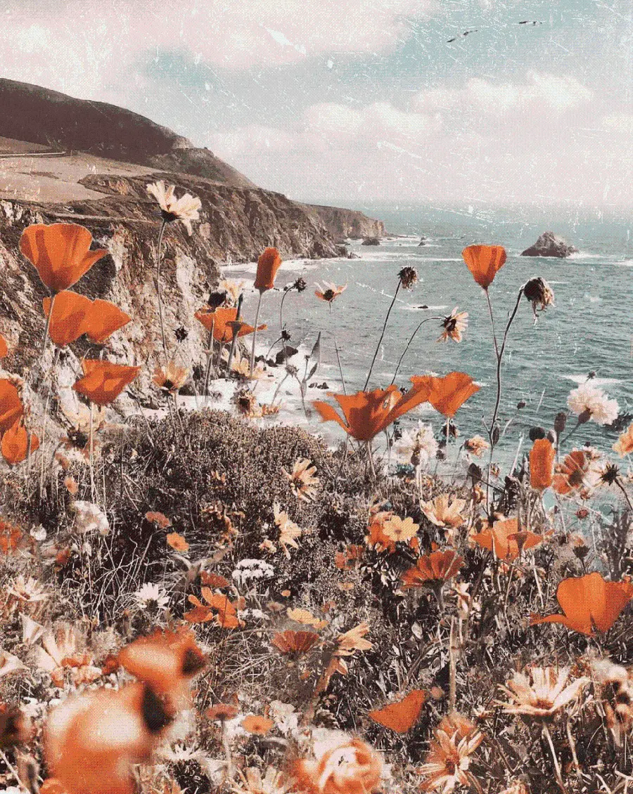 Beautiful and attractive photo of a flower garden by the lake for wallpapers and profiles 