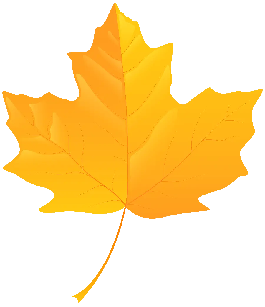 The simplest graphic image of yellow autumn leaf painting in PNG format