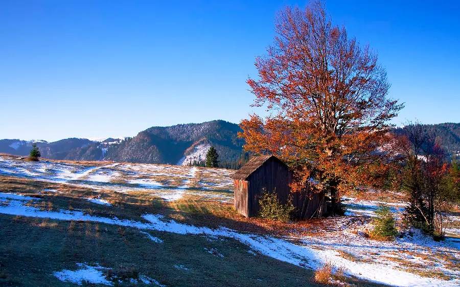 Picture of the cold season in the pure and magical nature