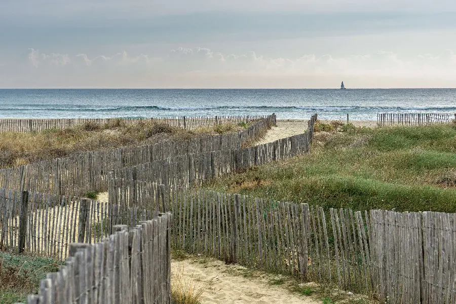 Stock photo of fenced beach grass