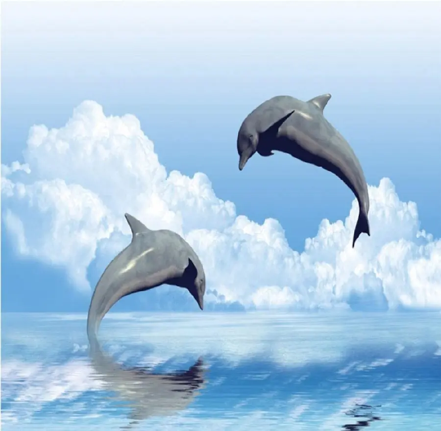 Background of Amazing Dolphin Jumping for Desktop 