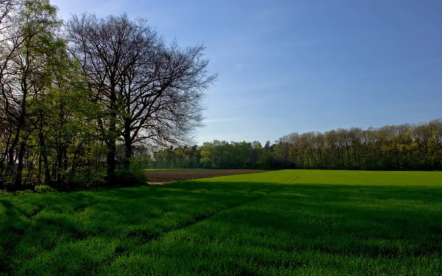 Background photo From nature in the blue sky to create an insta post 