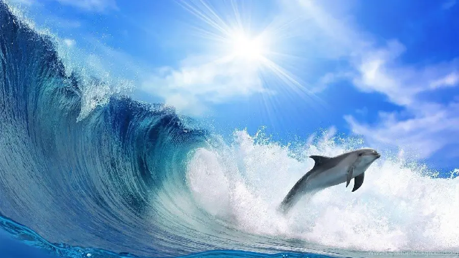 Wallpaper of Dolphin Jumping and Surfing in the Open Waters