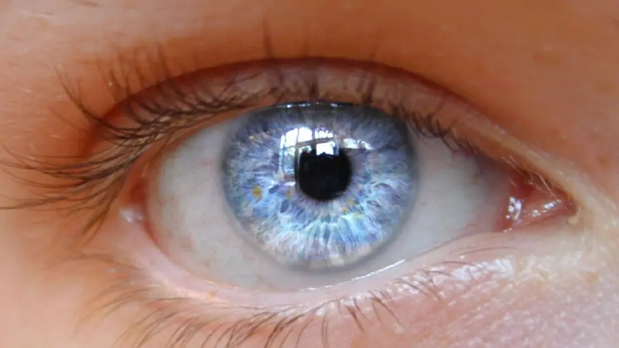 Closest picture of light blue eyes with cute eyelashes 