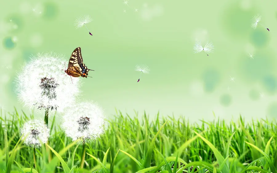 Download suggested background photo for PowerPoint cover 