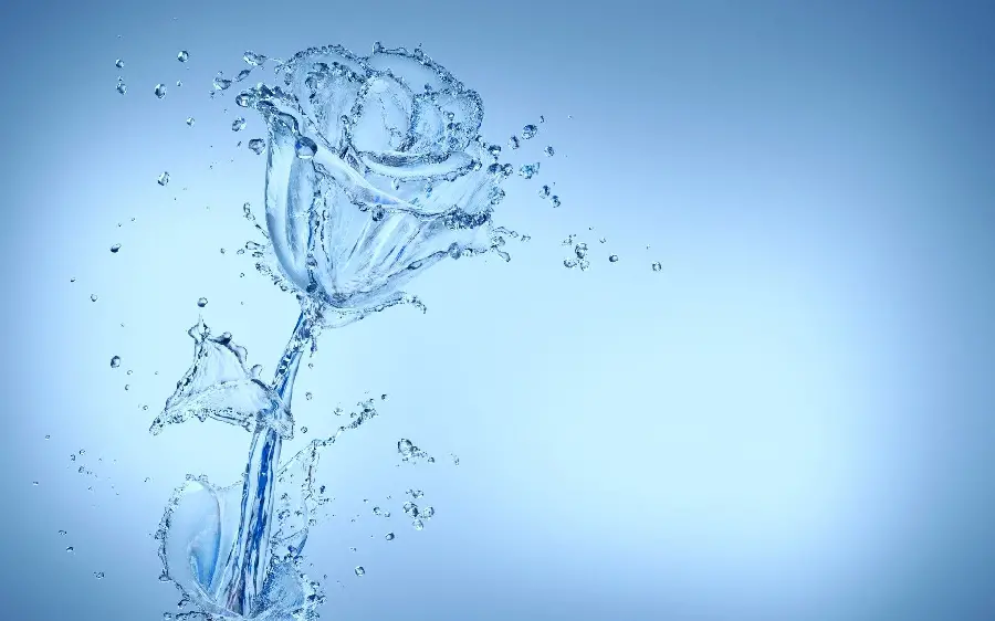 Cool water drops photo created in the shape of a rose for design work