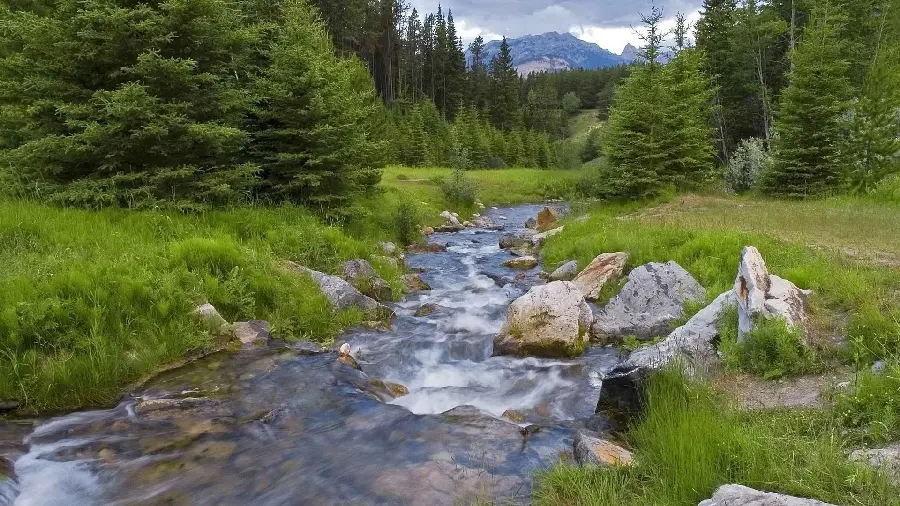 Photo of a raging river among green nature and an interesting landscape