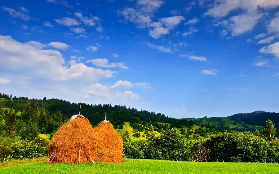 The most downloaded simple image of nature without Photoshop and editing 