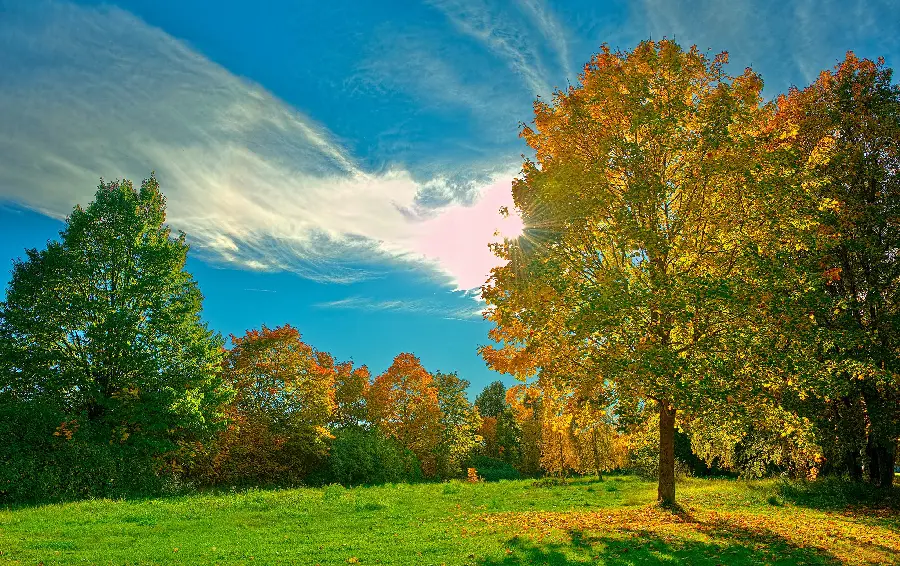 Simple image of beautiful and quiet nature for wallpaper
