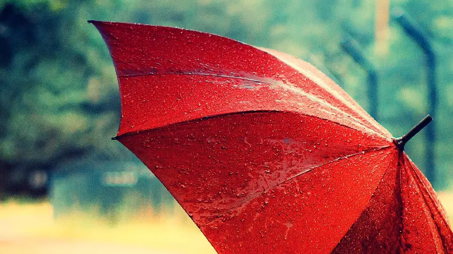 Attractive stock photo of red umbrella in rainy weather 
