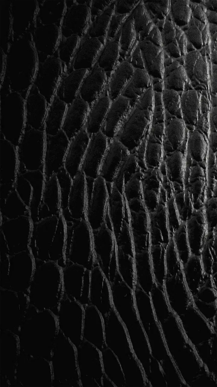 Black snake skin wallpaper for dark theme lovers