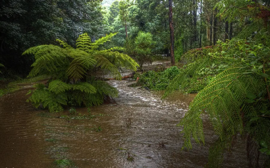 Amazing and attractive photo of pristine and remote nature
