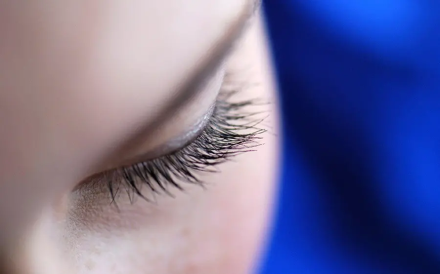Download photo of long and thick eyelashes for poster and magazine cover advertising 